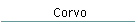 Corvo