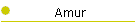 Amur