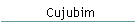 Cujubim